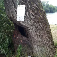 2016_16_02.jpg